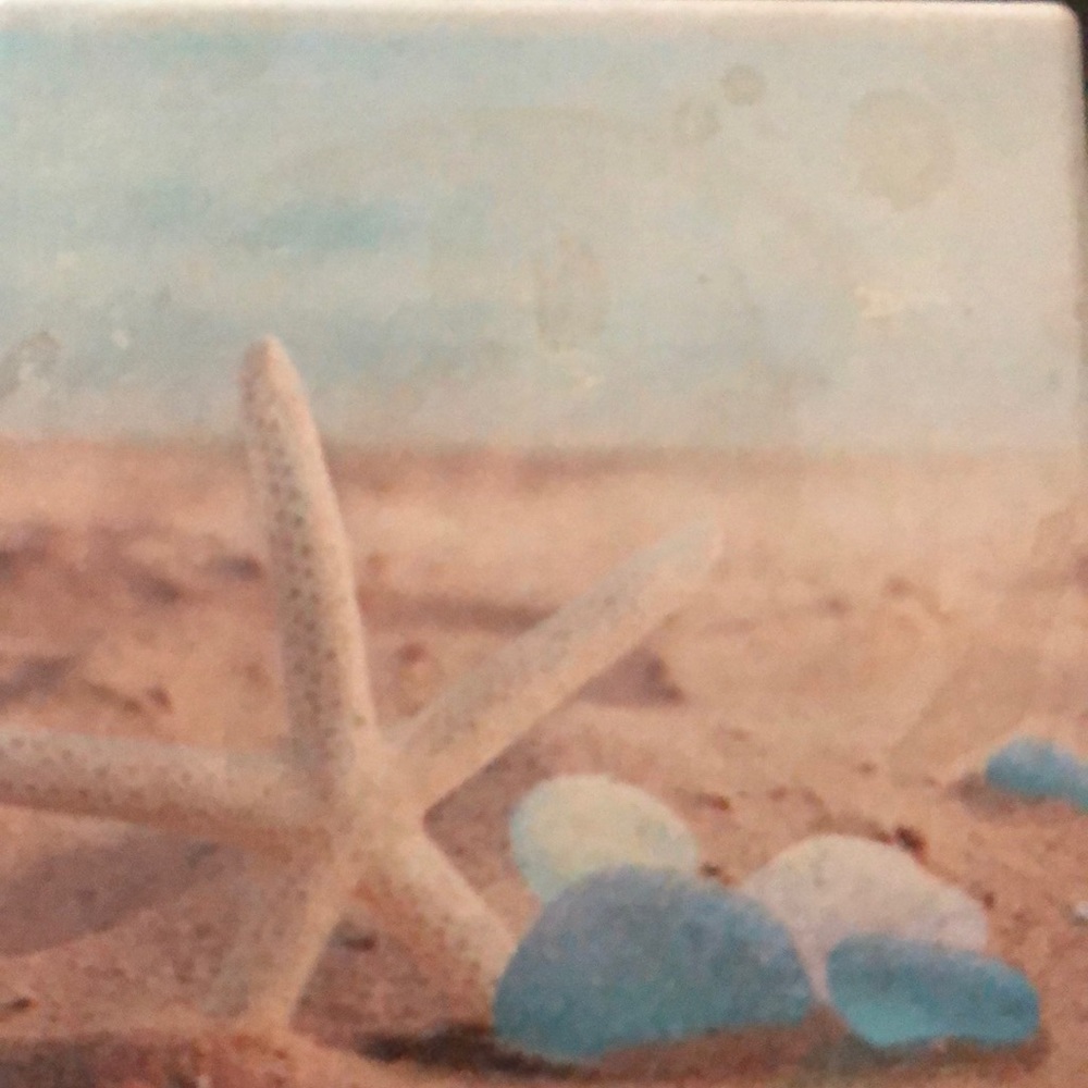 Meet your Posher, Dee